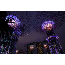  Tapéta Park Singapore 2, 400 x 250 cm tapéta, díszléc és más dekoráció