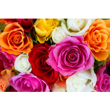  Tapéta Színek robbanása, 350 x 250 cm tapéta, díszléc és más dekoráció