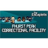 Team 17 Software The Escapists Fhurst Peak Correctional Facility - PC / MAC / LX DIGITAL