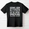 TeeInBlue Senki sem tökéletes, de az apák átkozottul közel állnak hozzá póló Fekete póló / fekete / L