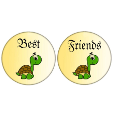 Teknősös páros Best Friends kitűző kitűző