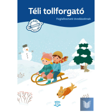 Téli tollforgató gyermek- és ifjúsági könyv