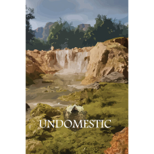 Tempest Studios Undomestic (PC - Steam elektronikus játék licensz) videójáték