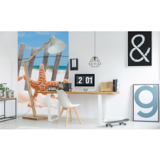 Tengericsillagok, poszter tapéta 150*250 cm tapéta, díszléc és más dekoráció