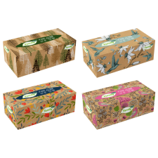 TENTO Family dobozos papírzsebkendő - 2 rétegű, 200db higiéniai papíráru