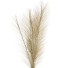 Természetes hatású mű pampafű ág lágy zöld árnyalatban