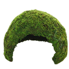 Terráriumi Mohás Búvóhely - 17x17x12 cm hüllőfelszerelés