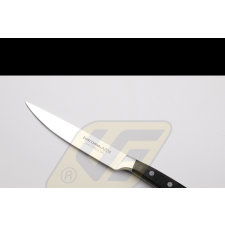  Tescoma 139966 Azza háztartási kés 13cm kés és bárd