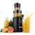 Tesla SlowJuicer SJ500 XL