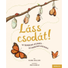 TESSLOFF ÉS BABILON KIADÓI KFT Rachel Williams - Láss csodát!