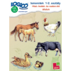 Tessloff Logico Piccolo feladatkártyák - Ismeretek 1-2. osztály: Házi-, hobbi- és vadon élő állatok