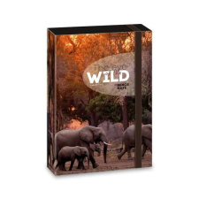 The Eyes of the Wild füzetbox - A5 - elefántos füzetbox