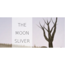  The Moon Sliver (Digitális kulcs - PC) videójáték