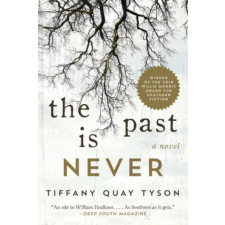 The Past Is Never – Tiffany Quay Tyson idegen nyelvű könyv