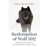  The Redemption of Wolf 302: From Renegade to Yellowstone Alpha Male