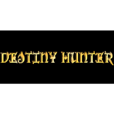 TheMasterGames Destiny Hunter (PC - Steam elektronikus játék licensz) videójáték