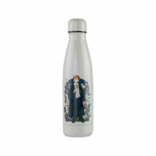 Thermos palack Harry Potter Ron Weasley Portrait Inox Cinereplicas, 500 ml termosz