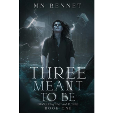  Three Meant To Be idegen nyelvű könyv