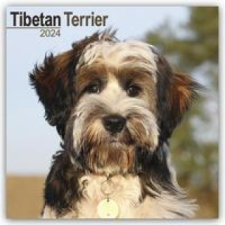  Tibetan Terrier - Tibet Terrier 2024 - 16-Monatskalender naptár, kalendárium