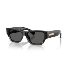 Tiffany & Co. Tiffany&Co. TF4265U 8001S4 BLACK DARK GREY napszemüveg napszemüveg