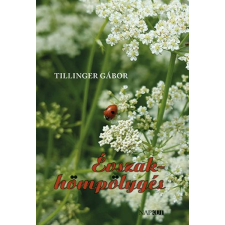 Tillinger Gábor - Évszakhömpölygés irodalom