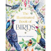 Timber Press (OR) The Illuminated Book of Birds | Crofut-Brittingham,Robin