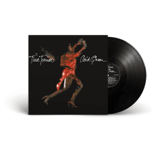  Tina Turner - Acid Queen (180 gram Edition) (Vinyl LP (nagylemez)) rock / pop