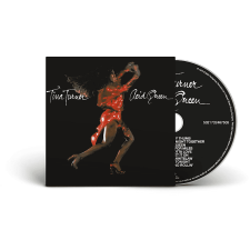  Tina Turner - Acid Queen (CD) rock / pop