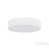 TK Lighting Livo kültéri mennyezeti lámpa TK-10987