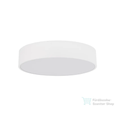 TK Lighting Livo kültéri mennyezeti lámpa TK-10987 kültéri világítás