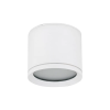 TK Lighting Vivo TK-10595 kültéri spotlámpa