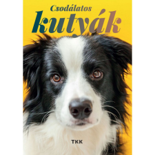 TKK Kereskedelmi Kft. Csodálatos kutyák hobbi, szabadidő