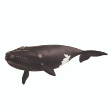 TM Toys Schleich: észak-atlanti kisbálna figura 14878 játékfigura