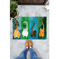  Többszínű lábtörlő 45 x 70 cm lakástextília