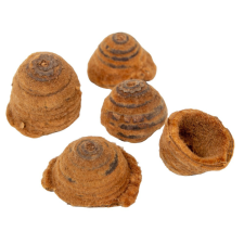  Tölgy kupak csíkos natúr 14dkg/csomag dekorációs kellék