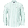 Tommy Jeans Hosszú ujjú ingek TJM REG STRIPE OXFORD SHIRT EXT Zöld EU S
