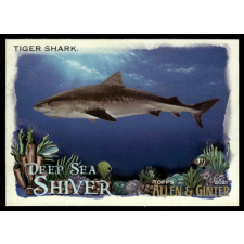 Topps 2021-23 Topps Allen and Ginte Deep Sea Shiver #DSS-4 Tiger Shark gyűjthető kártya