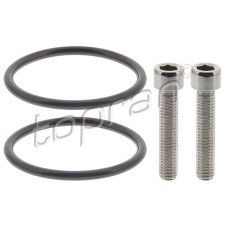 TOPRAN Jav.készlet, lam.kuplung szivattyú (összkerékhajtás) TOPRAN 120 165 autóalkatrész