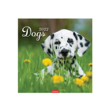 TOPTIMER Falinaptár TOPTIMER T098 290x580mm álló Dogs 2023. naptár, kalendárium