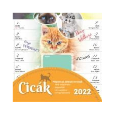 TOPTIMER Naptár, fali, mágneses, kétheti, TOPTIMER, \"családi tervező\", cicák naptár, kalendárium