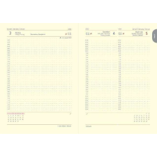 TOPTIMER Naptár, tervező, A5, napi, TOPTIMER &quot;Duplex&quot;, türkiz-kék naptár, kalendárium