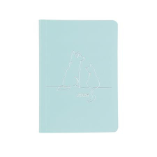 TOPTIMER Naptár, tervező, B6, heti, TOPTIMER Pastel, kék (NKP012KU) határidőnapló