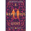 Tor Books A Marvellous Light | MARSKE FREYA