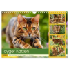  Toyger Katzen. Der exotische Mini-Tiger im Garten (Wandkalender 2026 DIN A4 quer), CALVENDO Monatskalender – Calvendo,Rose Hurley
