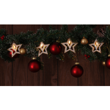 TRACON LED karácsonyi lánc, csillag,szarvas, fa, elemesTimer 6+18h, 10LED, 3000K, 2xAA karácsonyfa izzósor
