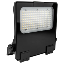  Tracon RHISNA50W LED fényvető, aszimmetrikus kültéri világítás