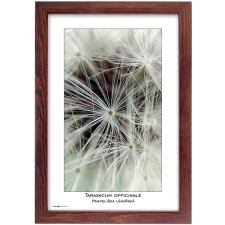 Tradag Natura 20×30, barna fényképkeret