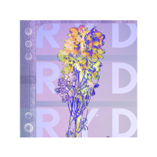 TRADER KFT - INDIEGO Ryd - (Vinyl LP (nagylemez)) heavy metal