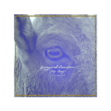 TRADER KFT - INDIEGO Young & Heartless - Stay Away (Vinyl LP (nagylemez)) alternatív