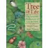  Tree of Life: The Incredible Biodiversity of Life on Earth – Rochelle Strauss,Margot Thompson